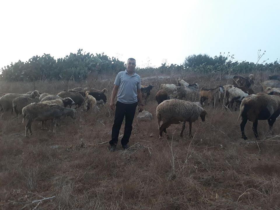 Bedouin Guest House Rumet Heib Dış mekan fotoğraf